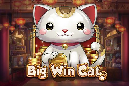 Big Win Cat