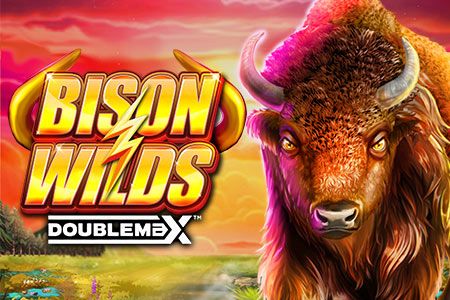 Bison Wilds DoubleMax